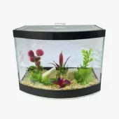 Beteira Curva Jardim Lester Preta